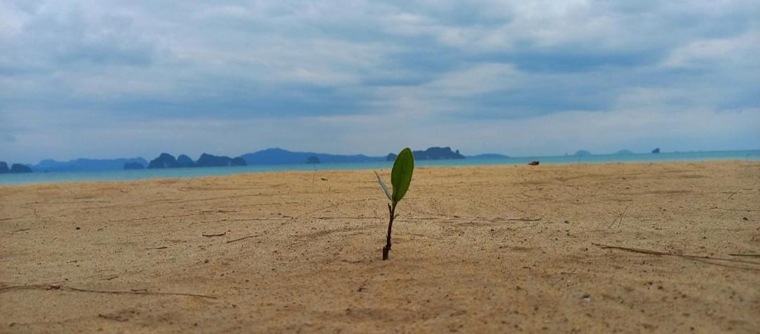 Koh Yao Noi Beach Resort מראה חיצוני תמונה